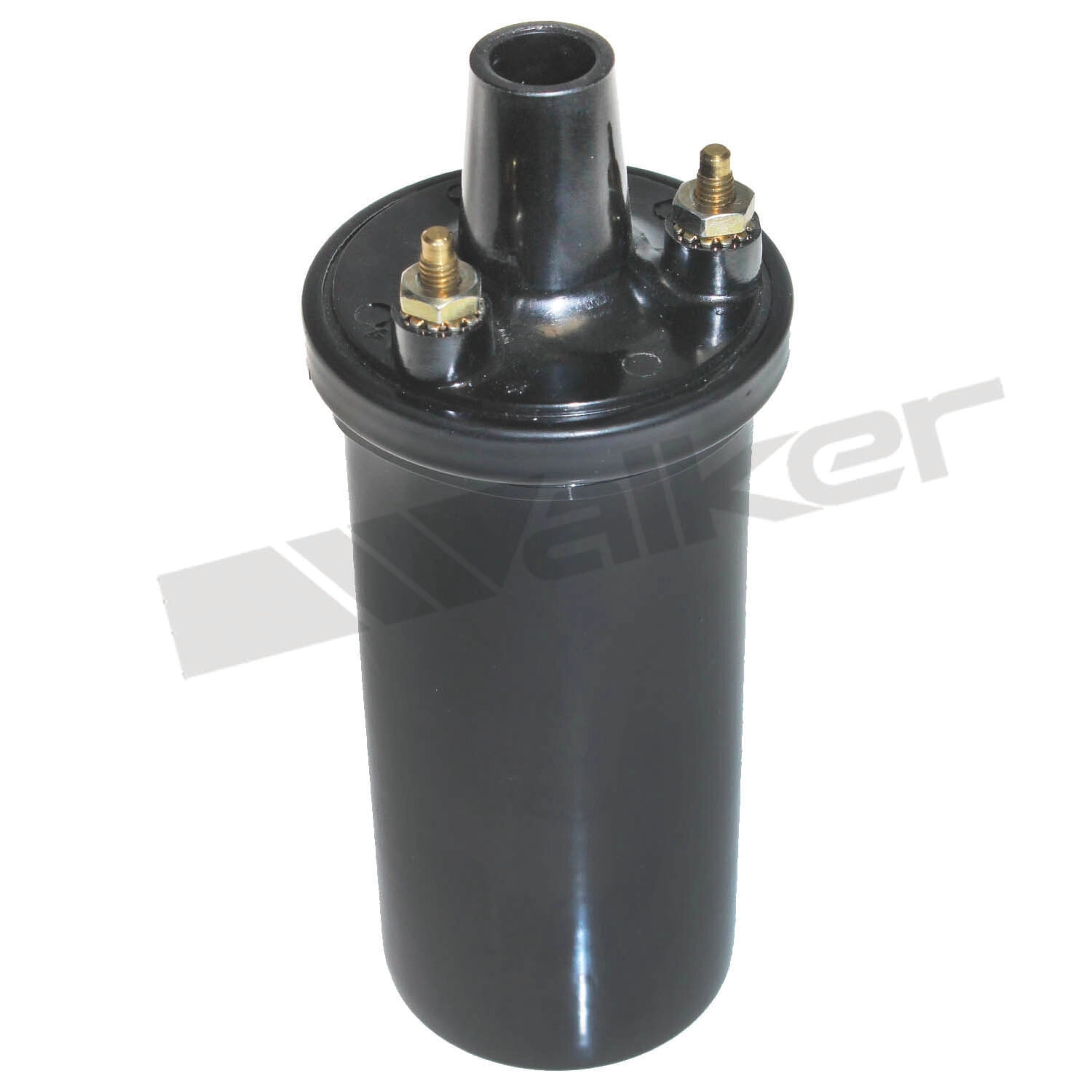 Ignition Coil (920-1002)