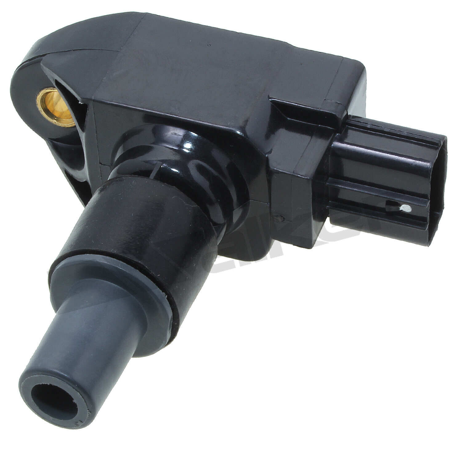 Ignition Coil (921-2030)