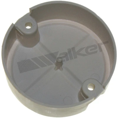 Rotor, distributor