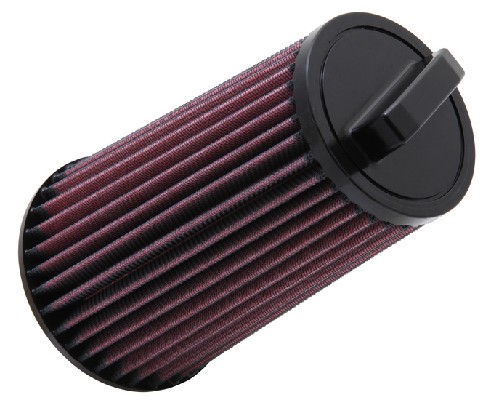 Air Filter (E-2985)