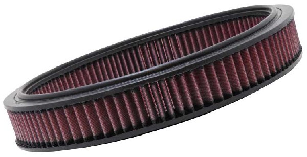 Air Filter (E-2865)