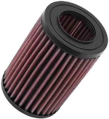 Air Filter (E-9257)
