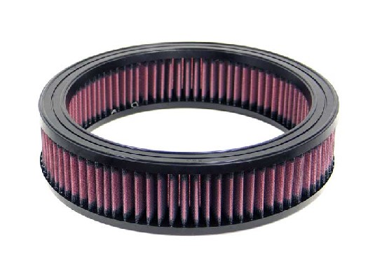 Air Filter (E-1090)