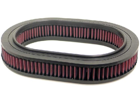 Air Filter (E-2874)