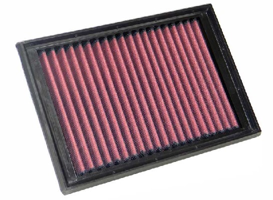 Air Filter (33-2510)