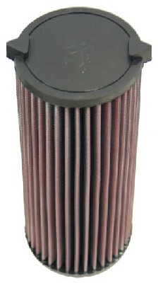Air Filter (E-2992)