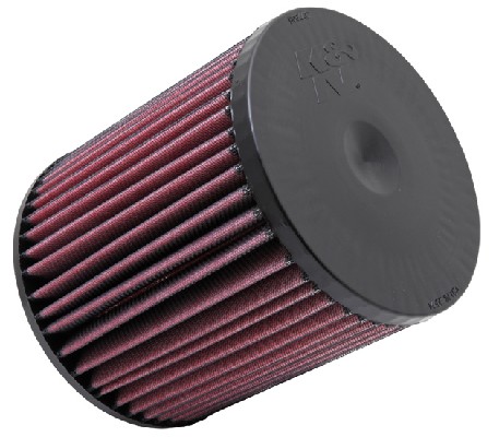 Air Filter (E-2999)