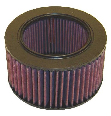 Air Filter (E-2553)