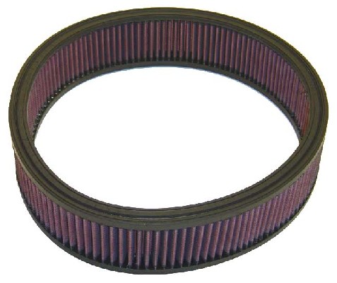 Air Filter (E-1535)