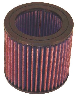 Air Filter (E-2455)