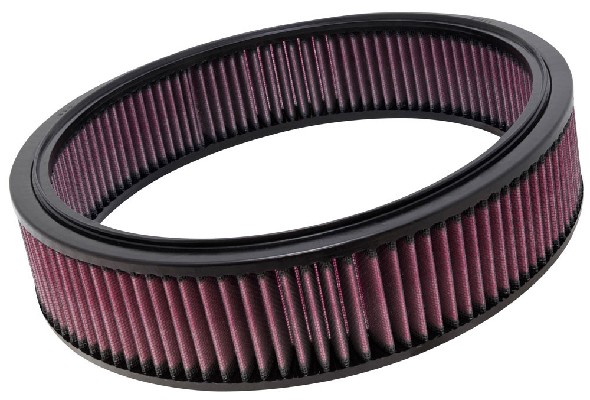 Air Filter (E-2872)