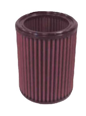 Air Filter (E-9183)