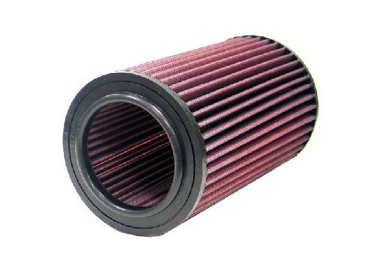 Air Filter (E-9251)