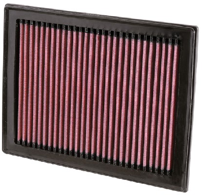 Air Filter (33-2409)