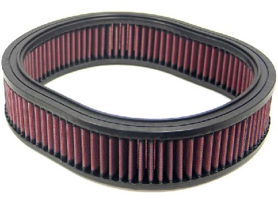 Air Filter (E-2863)