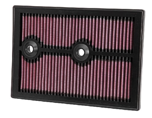Air Filter (33-3004)