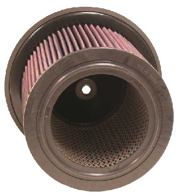 Air Filter (E-9266)