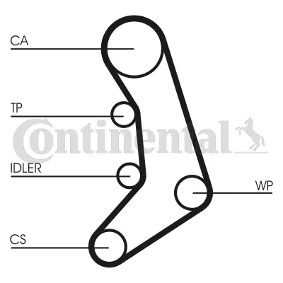 Timing Belt