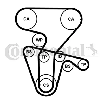 Timing Belt Kit