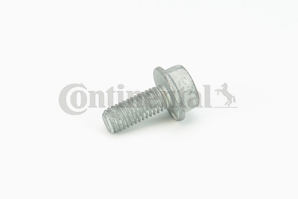 Screw (V41221)