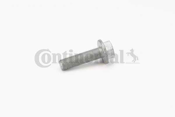 Screw (V41179)