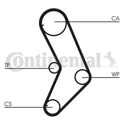 Timing Belt Kit