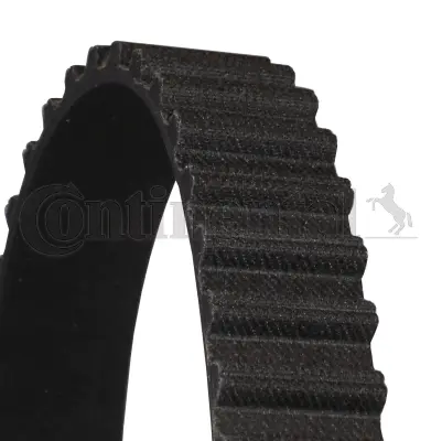 Timing Belt
