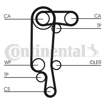 Timing Belt