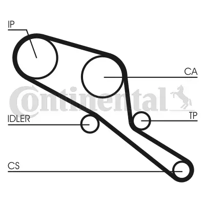 Timing Belt
