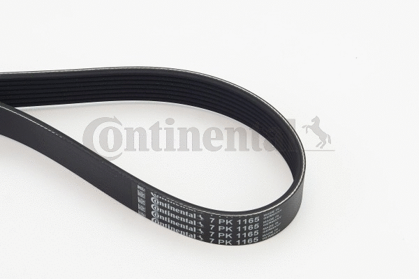V-Ribbed Belt (7PK1165)