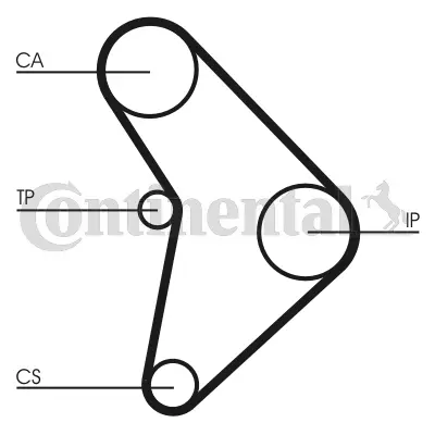 Timing Belt