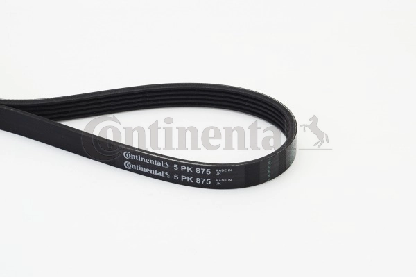 V-Ribbed Belt (5PK875)