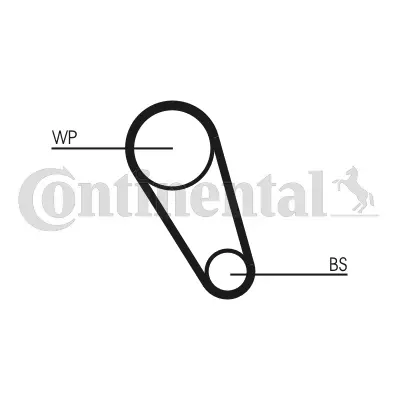 Water Pump & Timing Belt Kit