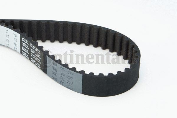 Timing Belt