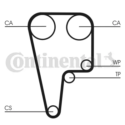 Timing Belt