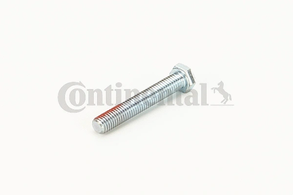 Screw (V41220)