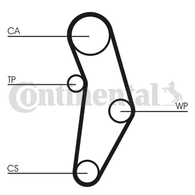 Timing Belt