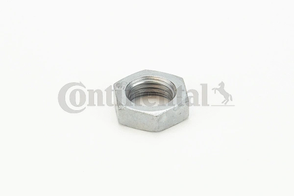 Nut (V31199)