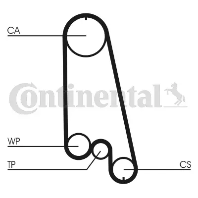 Timing Belt