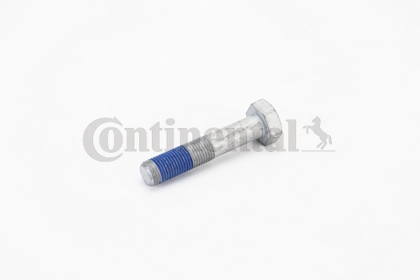Screw (V41455)