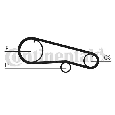 Timing Belt