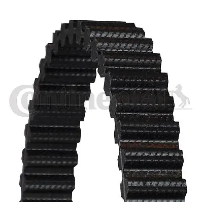 Timing Belt