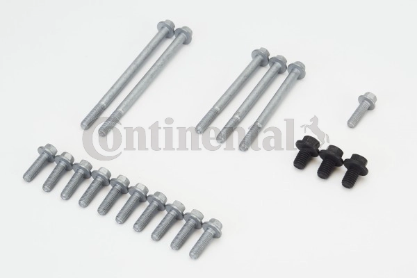 Bolt Set, oil sump (MS55)