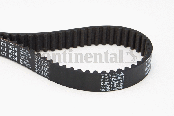 Timing Belt
