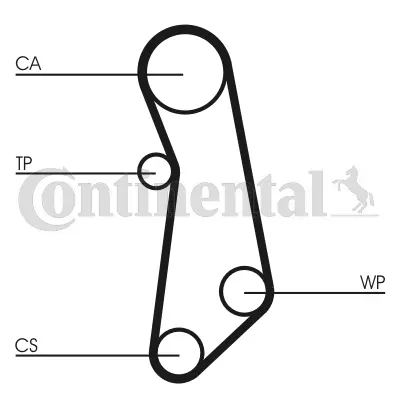 Timing Belt