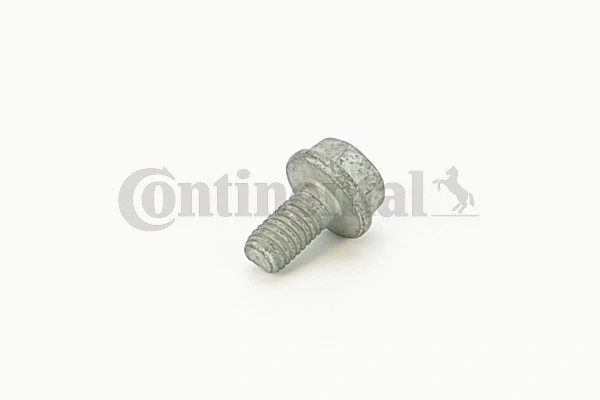 Screw (V41288)
