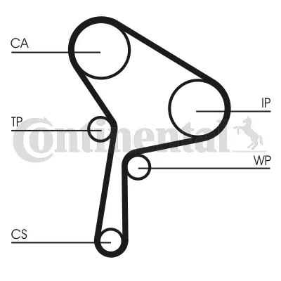 Timing Belt