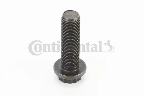 Screw (V49029)