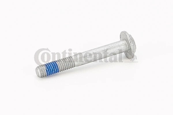 Screw (V41099)
