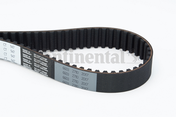 Timing Belt